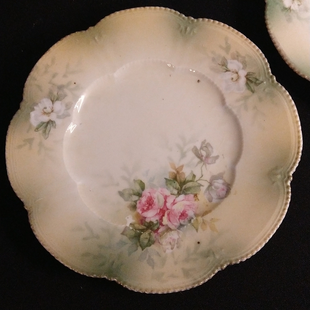 Old china plates Flora print